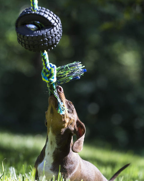 Pet Qwerks X-Tire Ball Dog Toys - Rope Interactive Chew Toy - Medium...