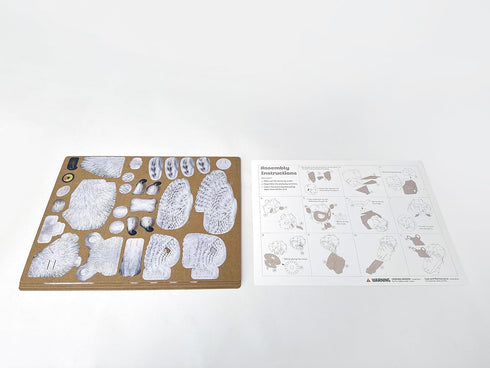 STEM Toy for Kids Play and Interaction for Baby Boys and Girls Early Development and Baby Learning Science Kits Ideal for Birthday Valentine's Day...