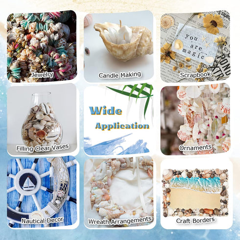 WFPLUS 200+pcs Sea Shells Mixed Ocean Beach Seashells, Various Sizes Natural Seashells Starfish for Fish Tank, Home Decorations, Beach Theme Party...