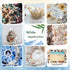 WFPLUS 200+pcs Sea Shells Mixed Ocean Beach Seashells, Various Sizes Natural Seashells Starfish for Fish Tank, Home Decorations, Beach Theme Party...