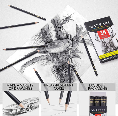 Professional Drawing Sketching Pencil Set - 14 Pieces,Graphite,(12B - 4H), Ideal for Drawing Art, Sketching, Shading, Artist Pencils for Beginners...