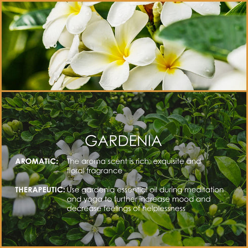 Gardenia Essential Oil 4 Fl Oz (120ml) - Pure and Natural Fragrance Oil, Gardenia Oil for Aromatherapy, Diffusers, Candle Making, Massage, Soap, P...