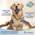 Large Deshedding Tool & Dematting Comb – Grooming Brushes for Dogs, Cats, Horses – Reduce Shedding and Remove Knots, Mats and Loose Undercoat...