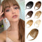Bangs Hair Clip in Bangs,100% Real Human Hair Extensions French Bangs Clip on Curtain Flat Bangs Fringe with Temples Hairpieces for Women Light Br...