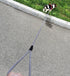 Small Dog Leash 7FT, Lightweight Nylon Rope Leash for Puppy Pets, Cats, Small Animals Medium Dogs Walking, Black...