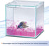 Aqueon Pure Betta Beads, Pink...