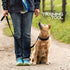 Ram-Pro Dog Training Collar Small Pinch Collar for Dogs Triple Crown Pro Training Collar Large Gentle Effective Control in a No Barking Control Do...