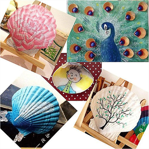 16PCS Sea Shells for Crafts 2.7"~3.5" White Scallop Shells, for Baking Shells Crafts DIY Painting Beaching Wedding Decoration Beach Natural Scallo...