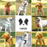 No Pull Dog Harness- Lightweight, Soft, Adjustable Small Harness Collar and Leash Set, Suitable for Cats Puppy Small and Medium-Sized Dog Outdoor ...