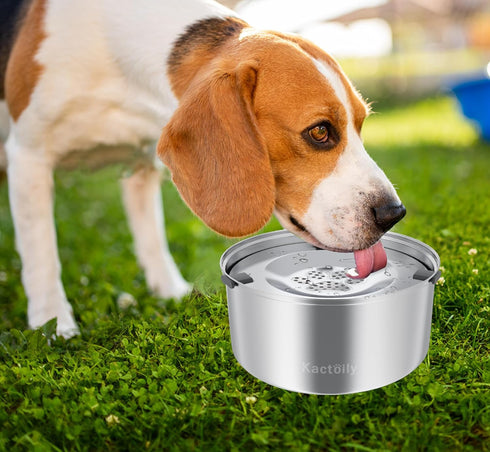 6 Pack Dog Water Bowl Filter & 1 Filter holder for 3L/101oz Stainless Steel Dog Water Feeder Dispenser...