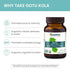 Himalaya Organic Gotu Kola, Herbal Supplement for Energy, Focus, Memory, Alertness, Concentration, Calms The Mind, Cognitive Support, Non-GMO, USD...