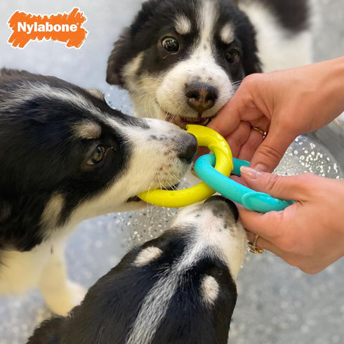 Nylabone Power Play Puppy Tug-a-Ball - Puppy Tug Toy - Interactive Puppy Enrichment Toys - Puppy Must Haves (1 Count)...