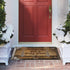 Definitely Not A Trap Door Door Mat Funny Entrance Welcome Outdoor Indoor Mats Home Decor Housewarming Gift 17 x 29 Inches...