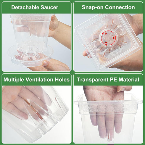 Orchid Pot, 7 Pack 6 Inch Clear Square Plastic Breathable Orchid Pots for Repotting, Plant Potswith Holes and Saucers for Indoor Plants, Spider Pl...