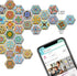 MORCART 30PCS Hexagon Fridge Magnets, Cute Locker Magnets, Decorative Magnets for Refrigerator Whiteboard Cabinet Office Kitchen Blackboard Gift f...