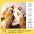 Paw Sanitizer Spritz - Dog Paw Cleaner - Cleans & Protects Paw Pads - Dog Grooming - Soothing Cleaning & Conditioning - Copaiba Oil, Vitamin E - N...