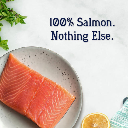 Stewart Freeze Dried Dog Treats, Wild Salmon, 2.75 oz Grain Free & Gluten Free, Resealable Pouch, Single Ingredient, Training Treat in Beef Liver,...