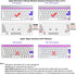 XSKN Adobe After Effects Shortcuts Keyboard Skin Hot Keys AE Keyboard Cover for MacBook Air 13 & MacBook Pro 13 15 17, Retina (US/European ISO Key...