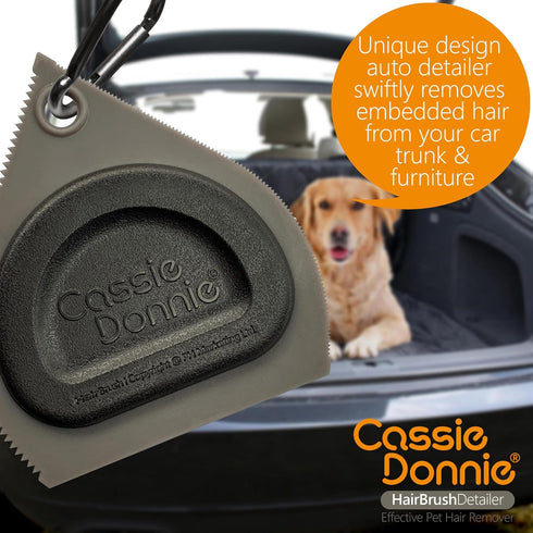 Mini Pet Hair Detailer, Pet Hair Remover for Carpet Couch Bedding Sofa, Car Interior Auto Detailing Supplies, Dog Cat Fur Reusable Brush for Furni...
