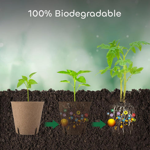 GROWNEER 50 Packs 3 Inch Peat Pots Plant Starters for Seedling with 15 Pcs Plant Labels, Biodegradable Herb Seed Starter Pots Kits, Garden Germina...