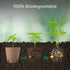 GROWNEER 50 Packs 3 Inch Peat Pots Plant Starters for Seedling with 15 Pcs Plant Labels, Biodegradable Herb Seed Starter Pots Kits, Garden Germina...