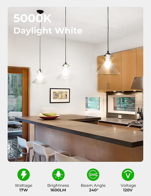 17W LED Bulb 150 Watt Equivalent, A19 1600 Lumen Super Bright LED Light Bulbs, Daylight White 5000K, E26 Edison Screw Bulb, Non-Dimmable, 6 Pack...