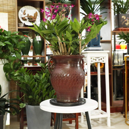 8" Bonsai Turntable Heavy Duty Rotating Garden Swivel Stand for easy Trimming and Displaying Potted Plant...