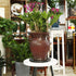 8" Bonsai Turntable Heavy Duty Rotating Garden Swivel Stand for easy Trimming and Displaying Potted Plant...
