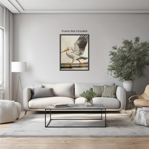 Posterizer 1 pcs-White Pelican detailed art work 3-Art for Animal Lovers-Collectibles & Fine Art-Decor for Home & Office- unframed wall art...