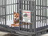 Beware of Dog Sign for Fence,No Trespassing Sign,10" x 7" x 0.04" Metal Sign,UV Protected and Weatherproof,Resistant to Fading and Harsh Weather,f...