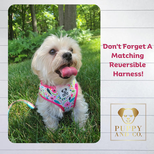 Cute 5ft Dog Leash, Stylish Nylon with Padded Handle for Everyday Walking & Comfort – for Small, Medium, Large XL Breed Dogs – Pet Accessories by ...