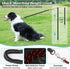 NTR Dog Leash Long, Pet Leash with Upgrade Swivel Lockable Hook & Ergonomic Padded Handle, Reflective Bungee Red Nylon Dog Leash for Walking, Hunt...
