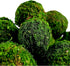 BYHER Moss Balls, 18 PCS Decorative Balls for Centerpiece Bowls - 6pcs 3.2" Natural Dried Balls+ 12pcs 2" Green Moss Balls Vase Bowl Filler (Set o...
