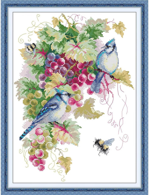 CROSSDECOR Stamped Cross Stitch Kits-Blue Jays and Grapes Embroidery Patterns Full Set for Beginners or Adults,11 CT 3 Strands DIY Crossstitching ...