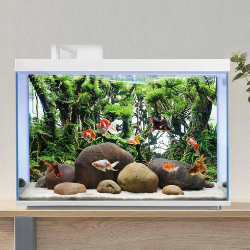 AWERT 36x18 inches Branches Aquarium Background Green Algae Aquarium Background Aquatic Plant River Bed & Lake Fish Tank Background Vinyl Backgrou...