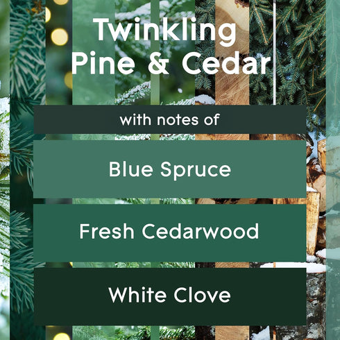 Glade PlugIns Refills Air Freshener, Scented and Essential Oils for Home and Bathroom, Twinkling Pine & Cedar, Limited Edition Scent, 3.35 Fl Oz, ...