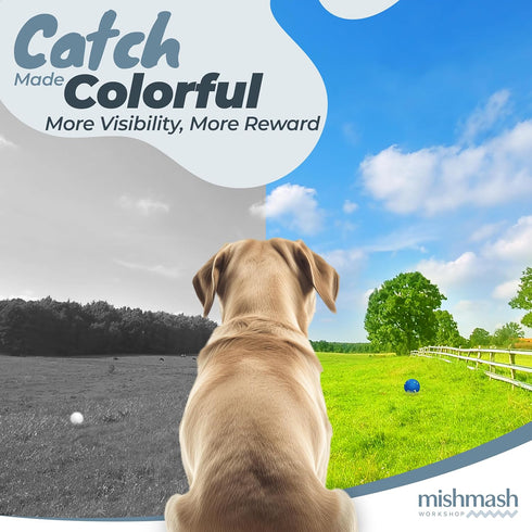 MISHMASH Vision Dog Ball made with Premium Bite-Proof ETPU, Aggressive Chewers Waterproof Bouncy Interactive Dog Toy, Durable Tennis Ball for Medi...