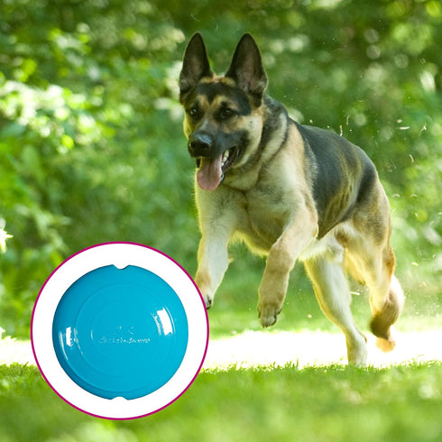 Chase 'n Chomp Field Disc Pet Chew Toy, Assorted, 4.75 inch, Blue or Green...