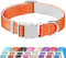 Reflective Dog Collar,Soft Neoprene Padded Breathable Nylon Pet Collar Adjustable for Large Dogs, Orange, Large...