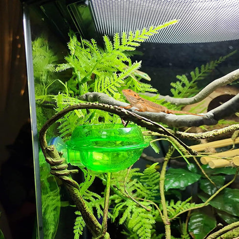 Chameleon Feeding Bowl with Suction Cup,Reptiles Feeder Water Bowls Anti-Escape Worm Live Fodder Translucent Container Ledge Dish Supplies for Liz...