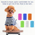 AUEAR, 12 Pack Pet Flea Lice Combs Double Sided Fine Tooth Dogs Cats Grooming Combs Remove Float Hair Tear Marks Tick Removal Tool (6 Colors)...