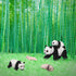 Animal Life Cycle Model Figure 4 PCS Panda Growth Model Classroom Accessories Party Supplies Cake Toppers Desktop Decoration Educational Developme...