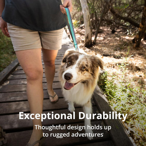 Ruffwear, Front Range Short Traffic Leash with Padded Handle, 15-inch (38cm) Durable Short Dog Lead for Training and Walking, Basalt Gray...