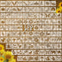100 Pieces Stencil for Painting,3 Inch Flower Stencils DIY Craft Animal Reusable Template Paint Stencils for Painting on Wood, Crafts, Wall Home D...