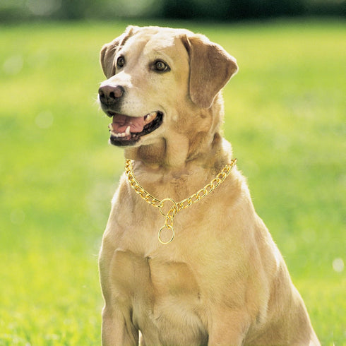 Mogoko Stainless Steel Dog Choke Chain Collar, Puppy Metal P Chain Slip Collar Pet Training Walking Choker(Gold; 3.5mm;22.0 Inch)...