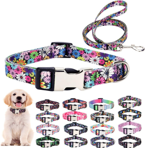 Puppy Collar and Leash Set for Daily Outdoor Walking Running Training, Design for Extra Small Boys Girls Dogs Cats Pets, (Colorful Daisies M)...