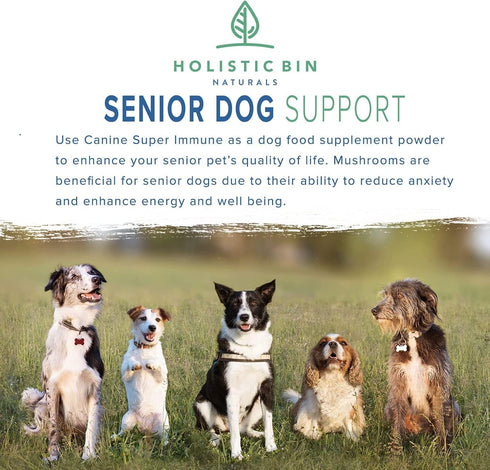 Canine Super Immune Human Grade Beet, Chlorella, & Medicinal Mushroom Blend with Reishi, Maitake, & Turkey Tail Mushroom for Dogs | Powdered Dog I...