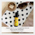 Organic Frankincense Serrata Essential Oil Roll on, 100% Pure USDA Certified Aromatherapy - 10 ml Roller by Silk Road Organic - Always Pure & Orga...
