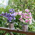TRUEDAYS 4 Pack Orchid Pot 5 Inch Clear Plastic Plant Pots with Drainage Holes for Indoor Outdoor Plants...