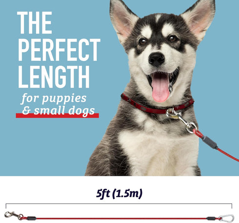 Leashboss 2 Pack Dog Tie Out Cables for Large Dogs - 5 Ft Heavy Duty Tether for Outside Dog Runner - Durable, Chew-Proof, Dog Lead for Yard, Campi...